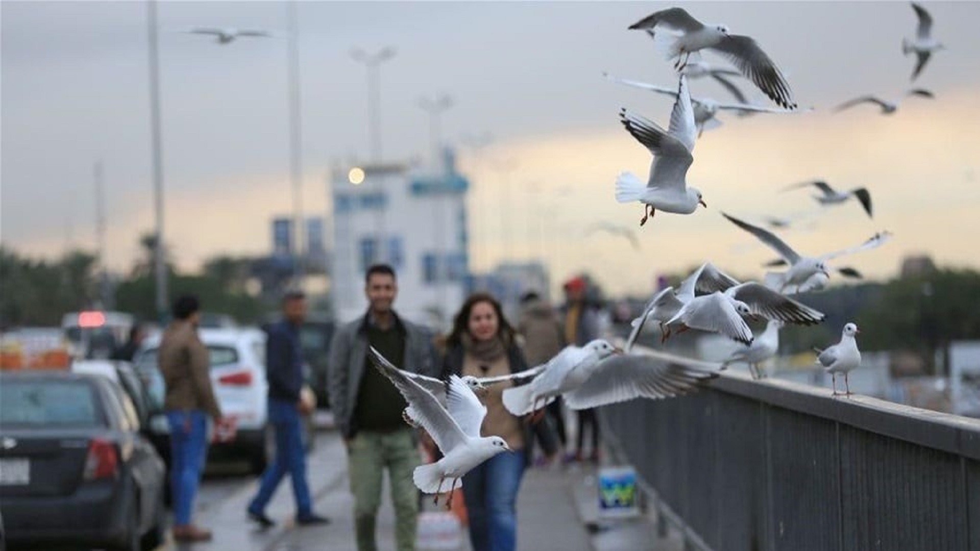 طقس العراق .. اجواء صحوة في الجنوب والوسط مع استمرار الانخفاض بدرجات الحرارة